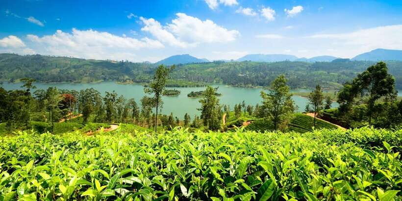 Kandy To Nuwara Eliya Drop Tour - Sri Lanka - Asgiriya Stupa and a crafts stop: easing into Kandy before the road turns scenic