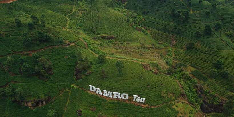 Kandy To Nuwara Eliya Drop Tour - Sri Lanka - Price and value: why $25 can work on this route