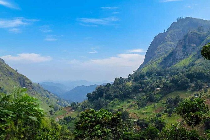 Kandy to Nuwara Eliya Private Day Tour - Damro Labookellie Tea Centre and Tea Garden: where the tea story becomes real