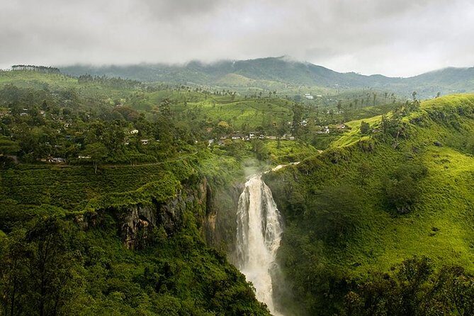 Kandy to Nuwara Eliya Private Day Tour - Strawberry farm stops and fresh juice: a short, fun detour
