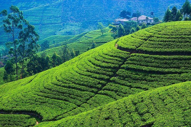Kandy to Nuwara Eliya Private Day Tour - Ambuluwawa Tower: the spiraling climb and the misty-peak payoff
