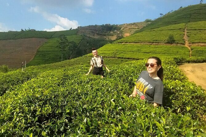 Kandy to Nuwara Eliya Private Day Tour: Tea Factory& Gregory Lake - Key things to know before you go