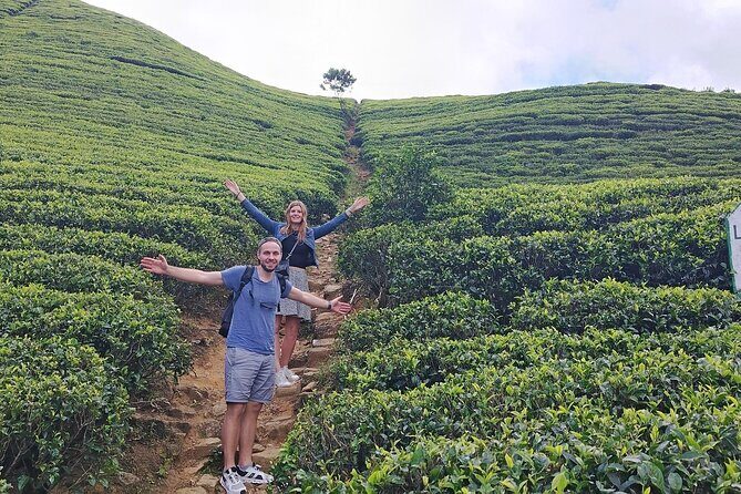 Kandy to Nuwara Eliya Private Day Tour: Tea Factory& Gregory Lake - Stop 5: Hakgala Botanic Gardens in cool, misty air