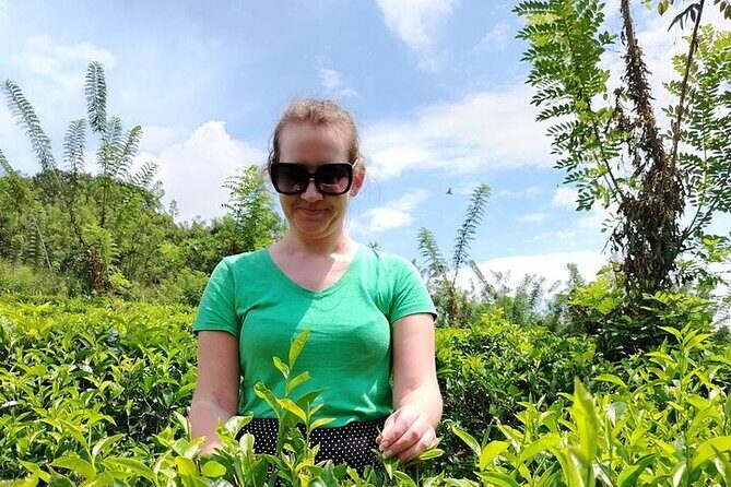 Kandy to Nuwara Eliya Private Day Tour: Tea Factory& Gregory Lake - The ride up: tuk-tuk or van through tea country