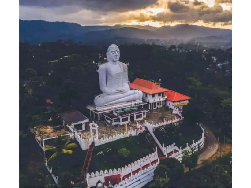 Kandy to Pinnawala Guided Day Tours by Local - Pinnawala elephant stops: what you’ll see and the right way to approach it