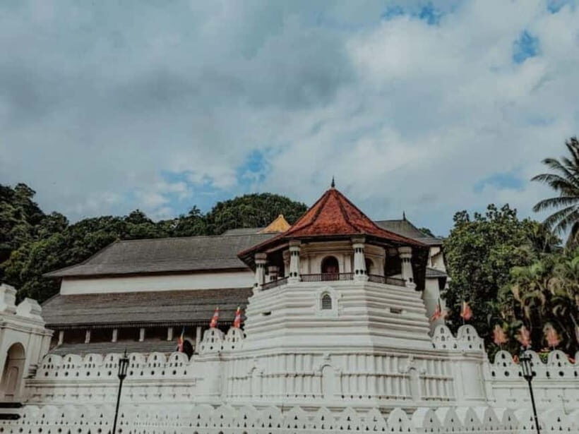Kandy to Pinnawala Guided Day Tours by Local - Mahaweli River and Kandy viewpoint breaks: quick scenic wins