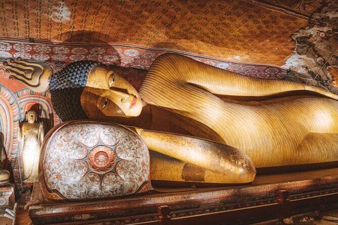 Kandy to Sigiriya and Dambulla Safari Day Tour - The tight 8-hour plan: Kandy to Dambulla, Sigiriya, and the safari