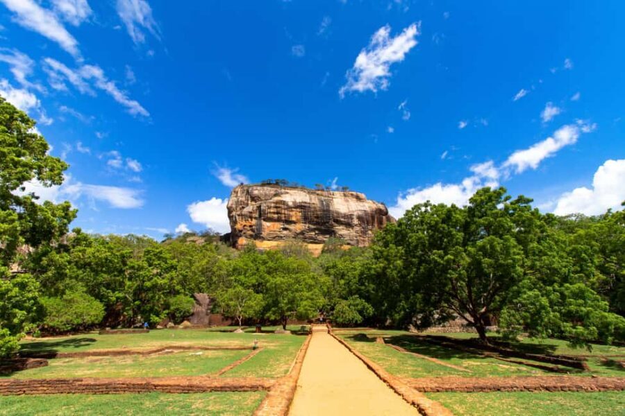 Kandy To Sigiriya Day Tour With Minneriya Safari - Lunch timing: keeping the long day comfortable