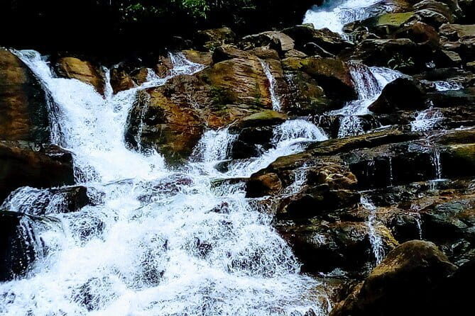 Kanneliya Rain Forest Tour - Key highlights you’ll actually feel