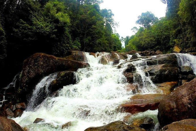 Kanneliya Rain Forest Tour - Kanneliya Rain Forest: why this walk feels different