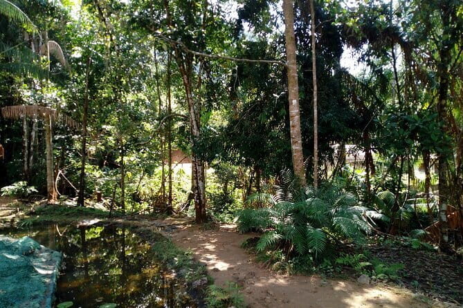 Kanneliya Rain Forest Tour - River swimming and the waterfall-and-cave options