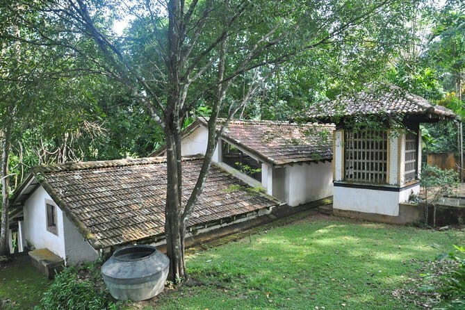 Kanneliya Rain Forest Tour - How long is the day, and what pace fits best?