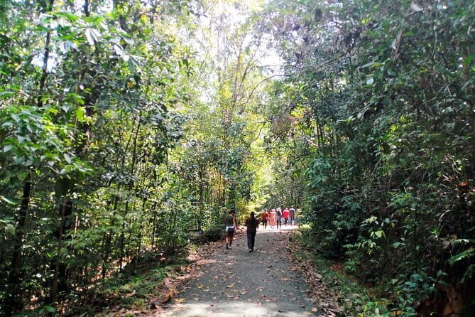 Kanneliya Rain Forest Tour - The main gate: what “wildlife tracker-led” really means