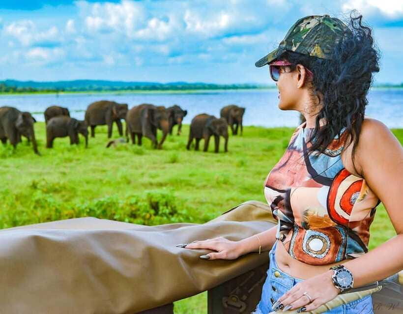 Kaudulla National Park Half-Day Safari with Expert - Itinerary flow: pickup, park entrance, safari time, then back to your hotel