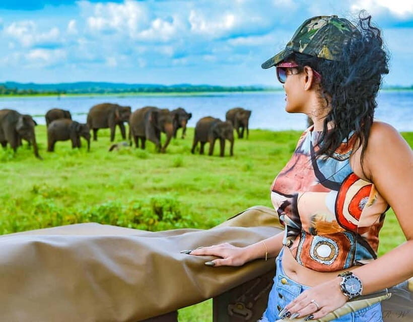 Kaudulla National Park Half-Day Safari with Expert - Inside the park: a 4x4 route built for spotting