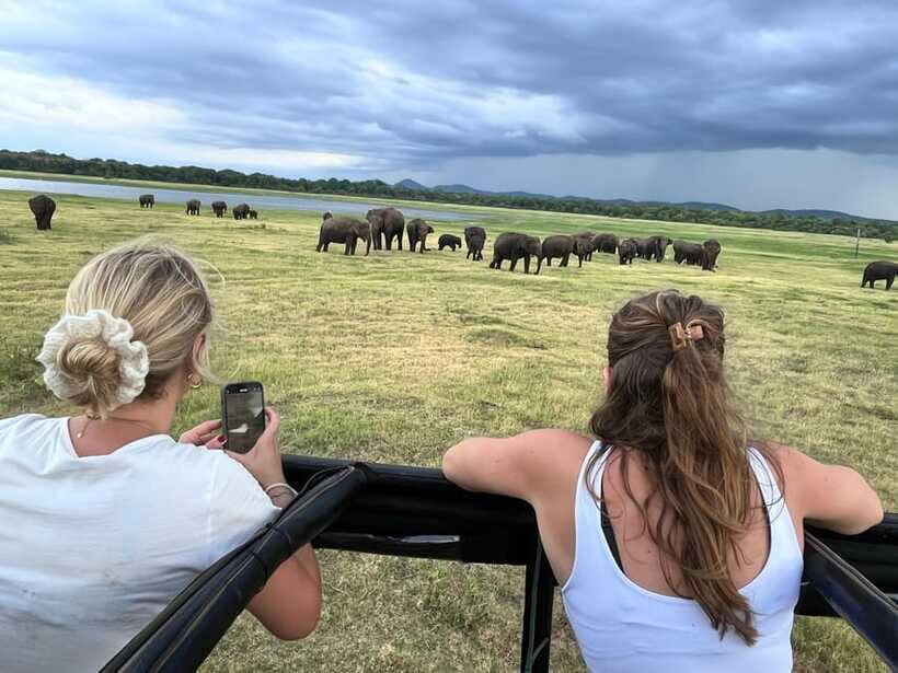 Kaudulla National Park: Private Safari - Tickets, Food, and What You Actually Pay For