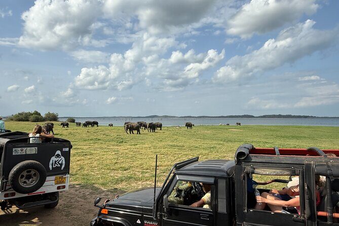 Kaudulla National Park Safari [private , full package] - Should you book Kaudulla Safari [private, full package]?