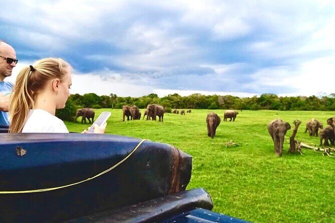 Kaudulla Safari Adventure - Kaudulla at a Glance: what makes this safari different