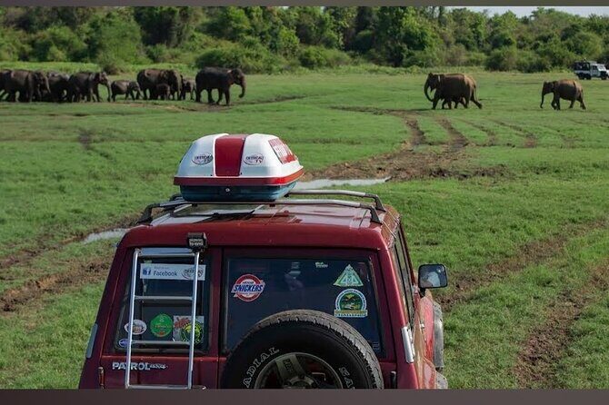 Kaudulla Safari Adventure - Photography: best light and the scenes that make pictures work