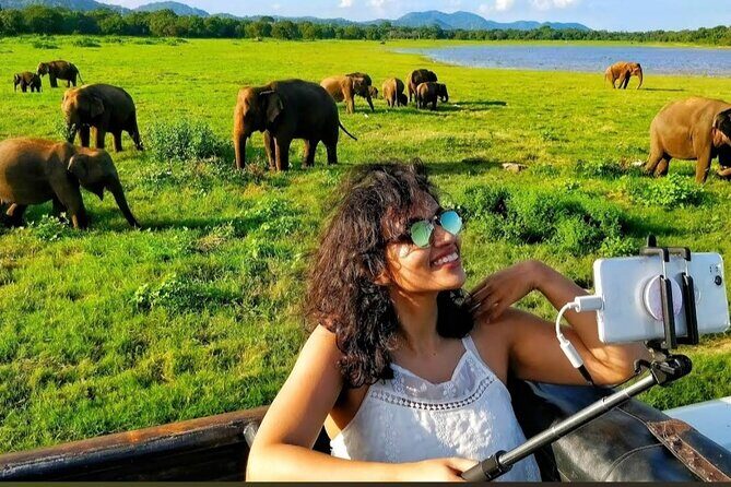 Kaudulla Safari Adventure - Respectful viewing: what to look for in a good safari moment