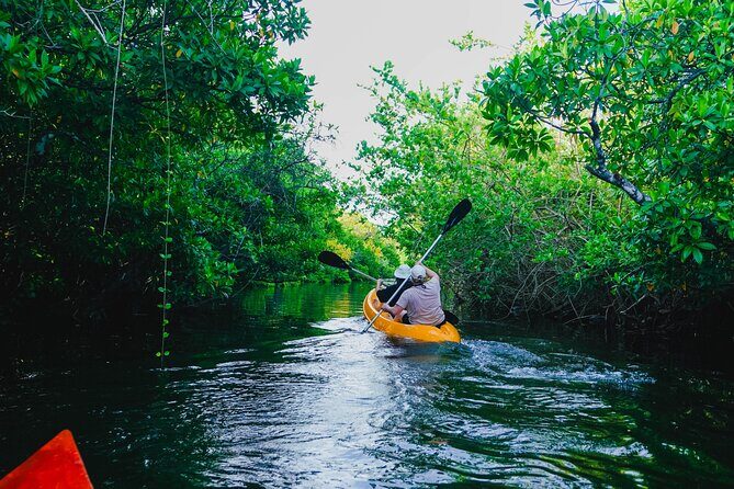 Kayaking Adventure on serene waters through mangroves, Akurala - Key Things That Make This Kayak Trip Work