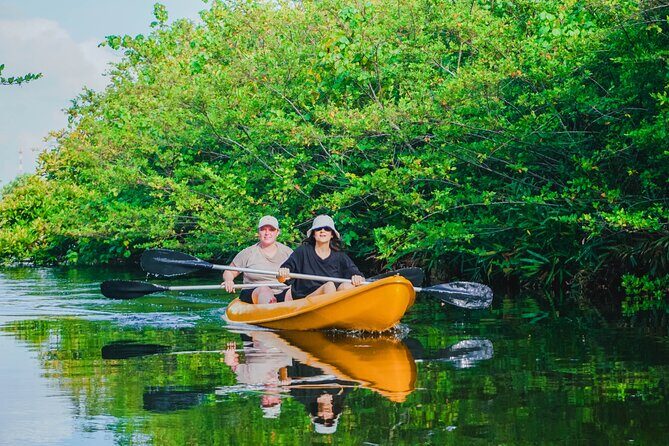 Kayaking Adventure on serene waters through mangroves, Akurala - The 2-Hour Flow: What You’ll Do From Start to Finish