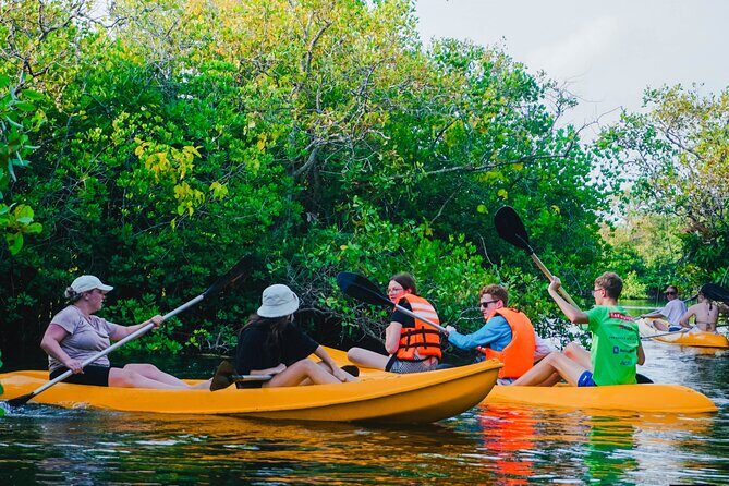 Kayaking Adventure on serene waters through mangroves, Akurala - Guides and Safety: The Comfort Factor You Don’t Want to Guess