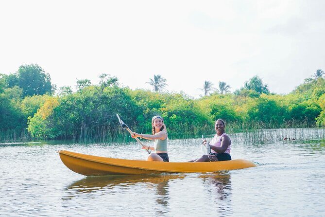 Kayaking Adventure on serene waters through mangroves, Akurala - Wildlife in Mangroves: What to Watch and How to Think About It