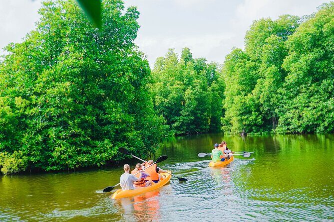 Kayaking Adventure on serene waters through mangroves, Akurala - Who This Trip Suits Best