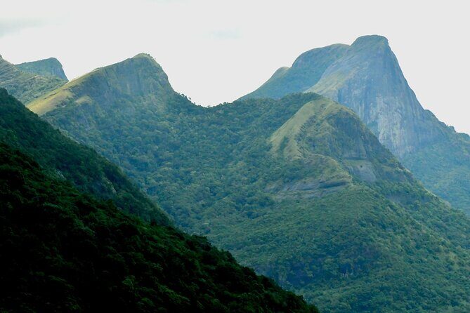 Knuckles Leopard trail Trek from Kandy - Wildlife and plants: how the guide turns spotting into a real activity