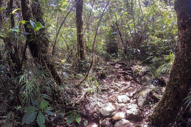 Knuckles Leopard trail Trek from Kandy - Pace, difficulty, and who should choose this hike (or not)