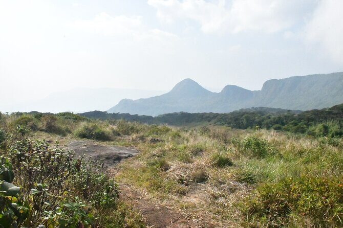 Knuckles Leopard trail Trek from Kandy - Price and logistics: is $108 good value?