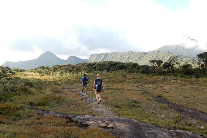 Knuckles Leopard trail Trek from Kandy - Getting to the trailhead and the early-morning rhythm