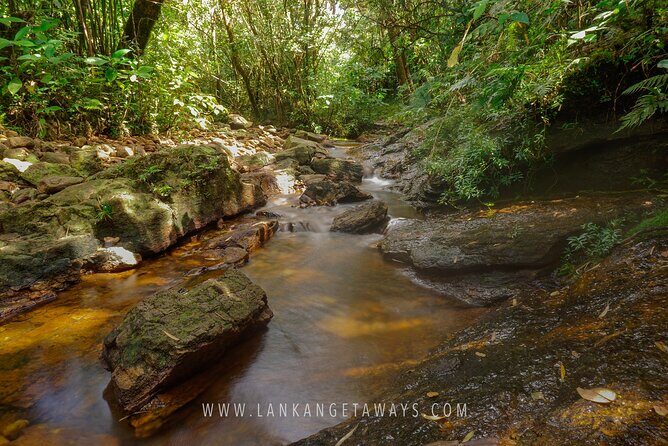 Knuckles Mountain Hiking - Fitness Level and Route Demands: Knowing Your Limits Before You Start