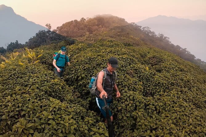 Knuckles Mountain Range Hiking and Trekking Day Tour From Kandy Hotels - Key things that make this Knuckles day tour worth it