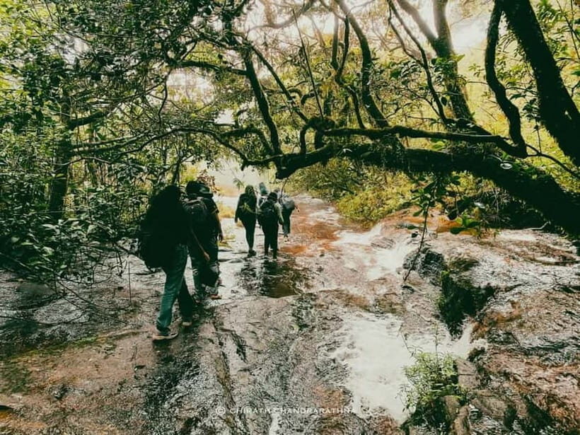 Knuckles Mountain Range: Kotaganga Waterfall Chain Hike - Key things I’d zero in on