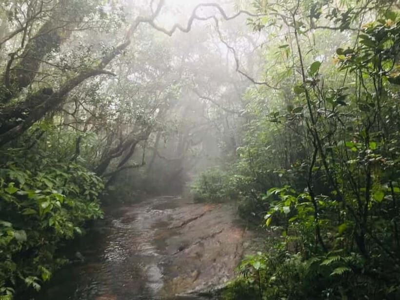 Knuckles Mountain Range: Kotaganga Waterfall Chain Hike - Cloud forest wildlife and birdwatching you can actually try for