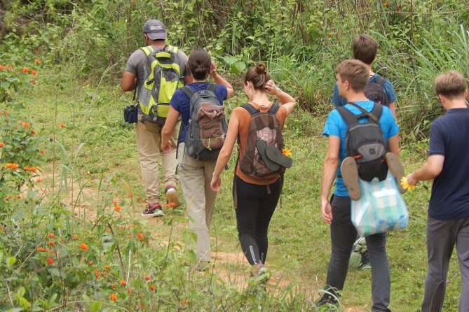 Knuckles Spice Trail Trek from Kandy - Birds, Plant Explanations, and Spice-Forest Learning