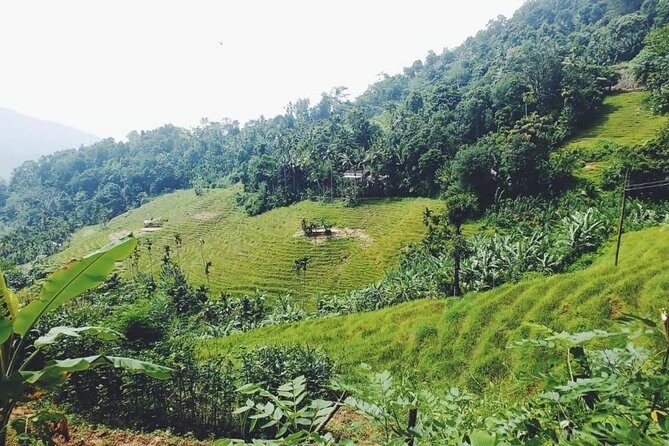 Knuckles Spice Trail Trek from Kandy - Waterfall Crossing and the Natural Swimming Pool