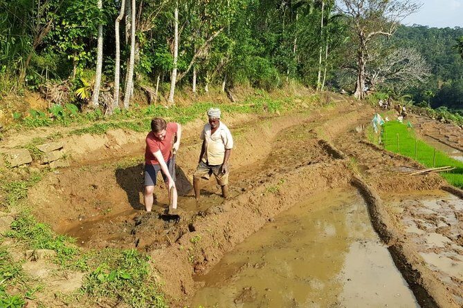 Knuckles Spice Trail Trek from Kandy - Terraced Rice Fields and Village-Path Views