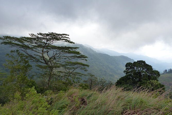 Knuckles Spice Trail Trek from Kandy - Lunch With Locals: Picnic vs Authentic Village Meal