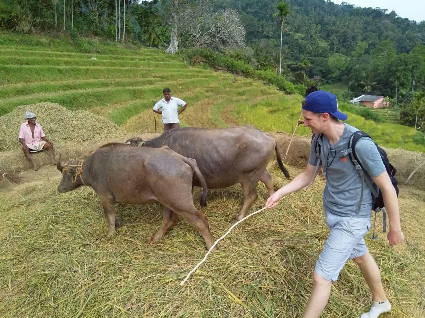 Knuckles Spice Trail Trek from Kandy - Difficulty, Weather Reality, and What to Pack