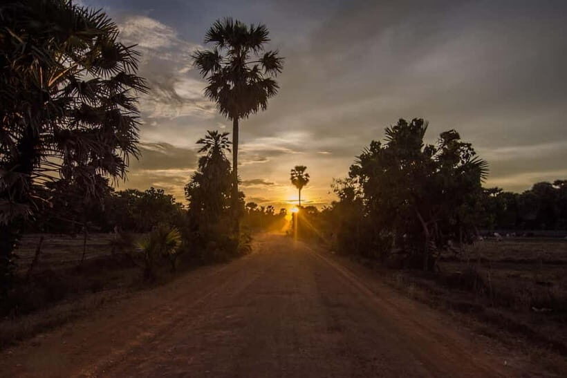 Kumana National Park Leopard Safari PRIVATE Tour - The Kumana Villu stop: what to watch for besides the storks