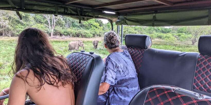 Kumana National Park : Morning or Afternoon Safari (6 h) - Leopard, elephants, deer, and crocodiles: what to hope for (realistically)