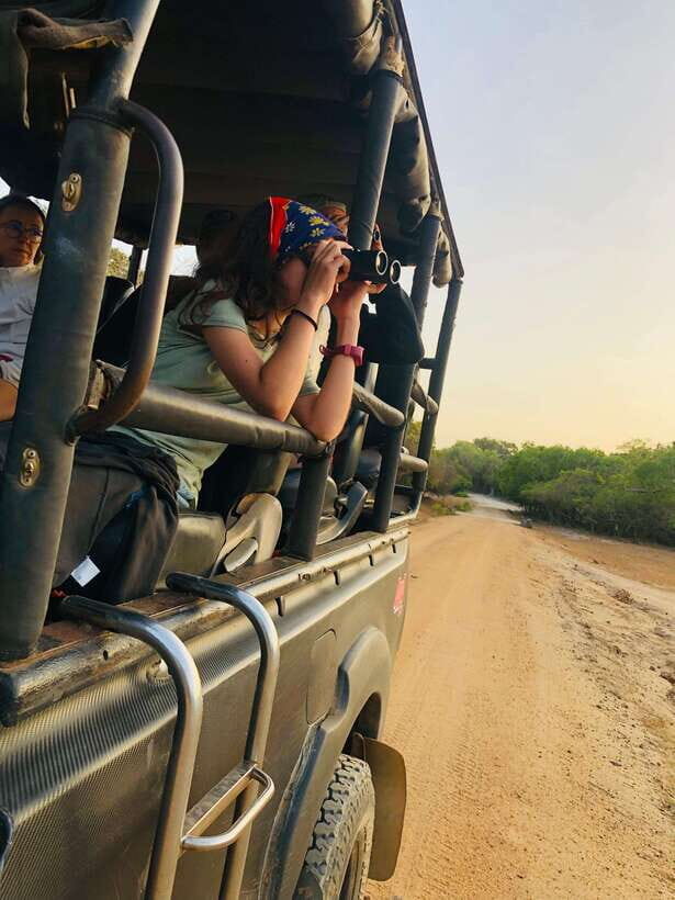 Kumana National Park : Private Half-Day Jeep Safari - Private safari expectations: what private usually means here