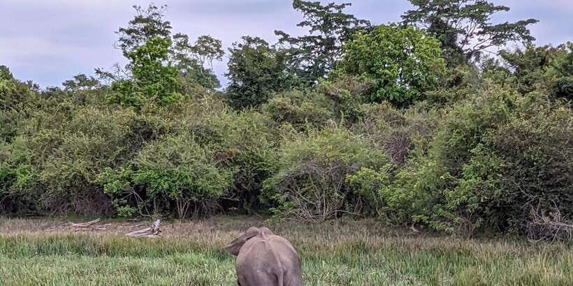 Lunugamvehera National Park Safari ( Yala Block V / VI ) - Key Things You’ll Notice on This Lunugamvehera/Yala Block V-VI Safari