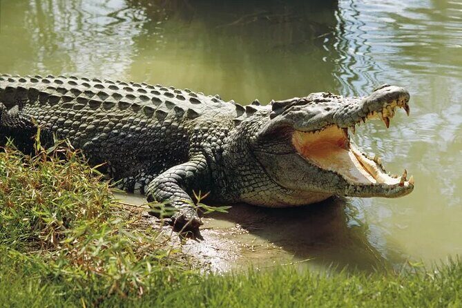 Lunugamwehera (Weheragala Entrance) National Park - Ajith Safari - Key Reasons This Safari Works