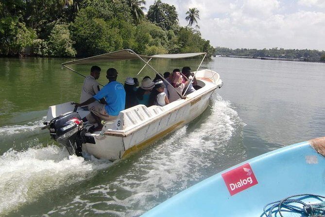 Madu River Boat Safari Balapitiya - Key things to know before you go