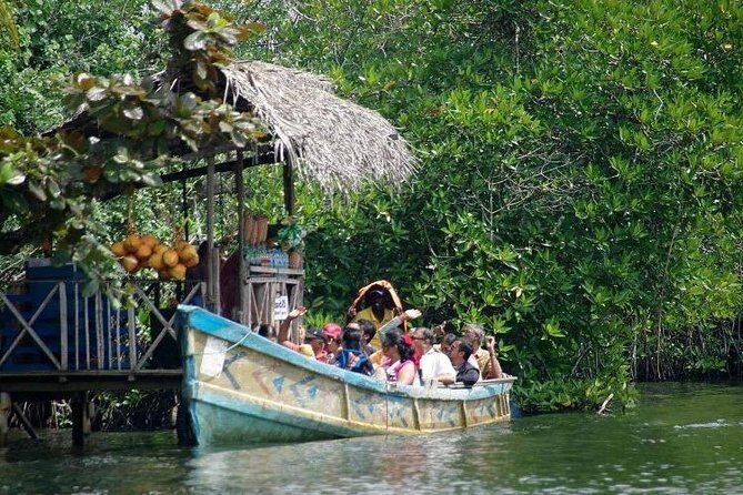 Madu River Boat Safari Balapitiya - River Madu boat safari: what you’re really buying for $29