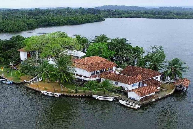 Madu River Boat Safari Balapitiya - Fish foot massage by fish: fun, but know what you’re signing up for